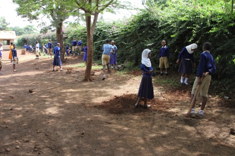 Mpingo Planting at Majengo Primary School